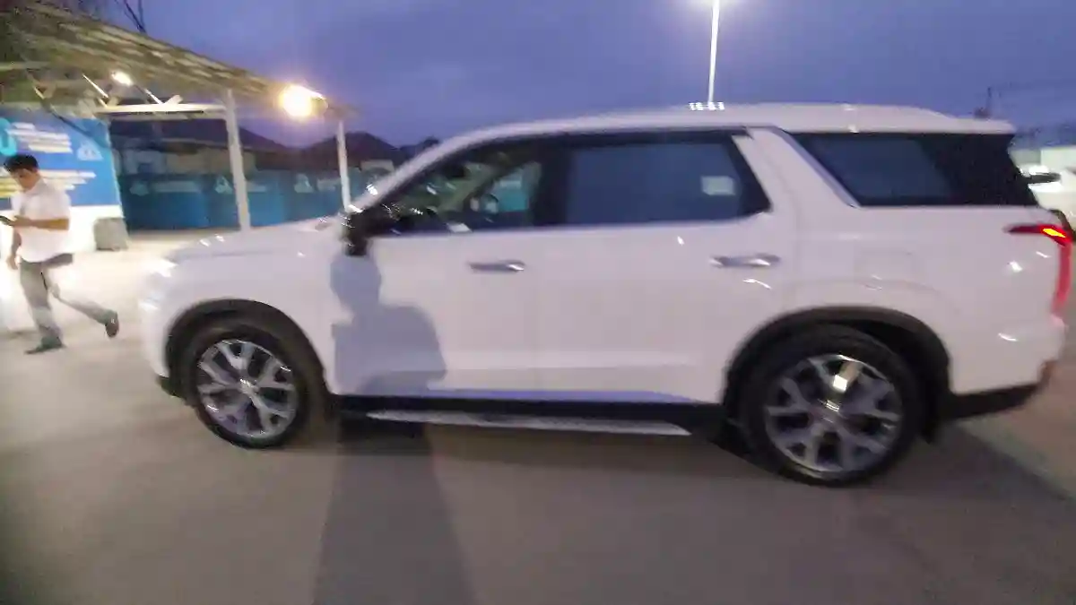Hyundai Palisade 2020 года за 22 000 000 тг. в Шымкент