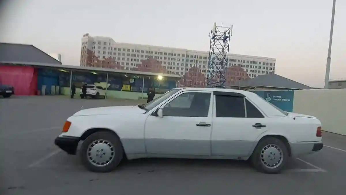 Mercedes-Benz W124 1991 года за 1 000 000 тг. в Шымкент